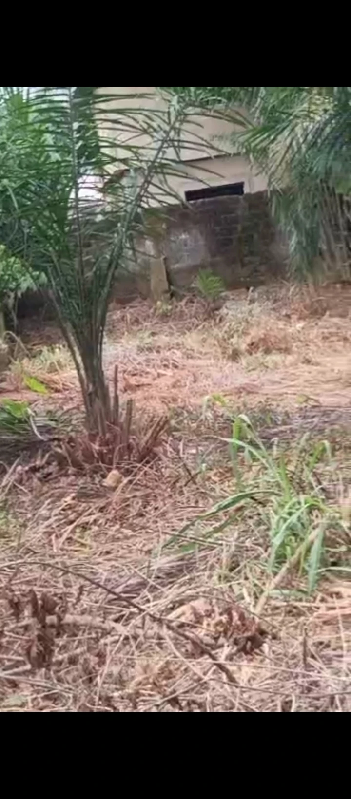 Land for Sale in Country home, Edo - Image 3