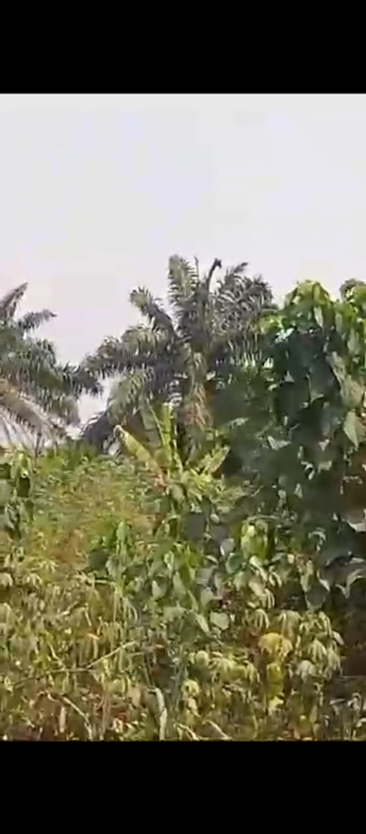 Land for Sale in Iguosa oluku, Edo - Image 1