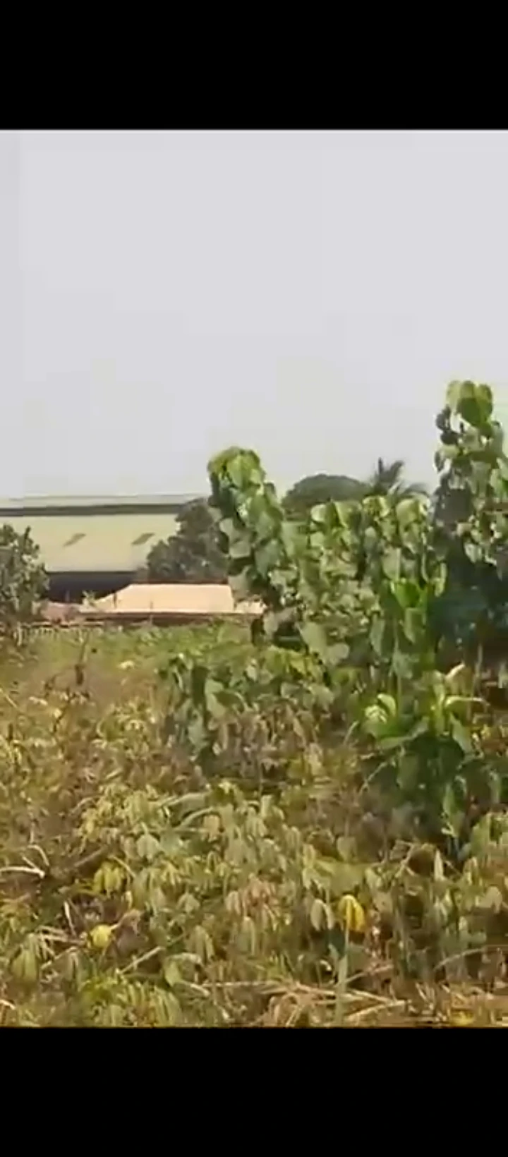 Land for Sale in Iguosa oluku, Edo - Image 5