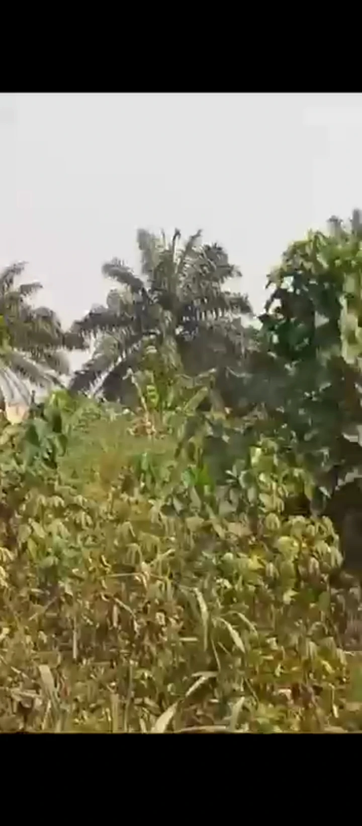 Land for Sale in Iguosa oluku, Edo - Image 4