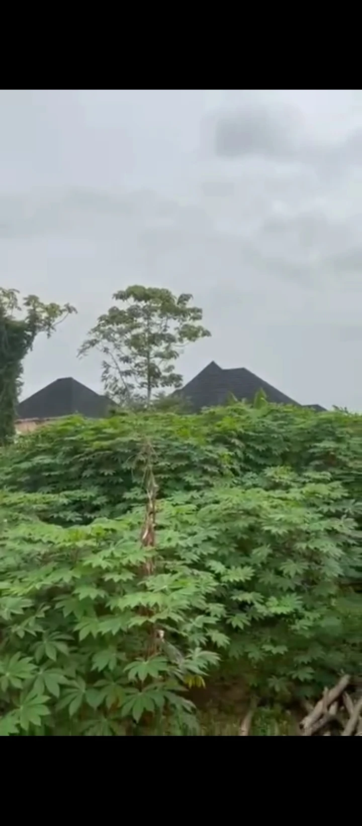 Land for Sale in Airport road, Edo - Image 3