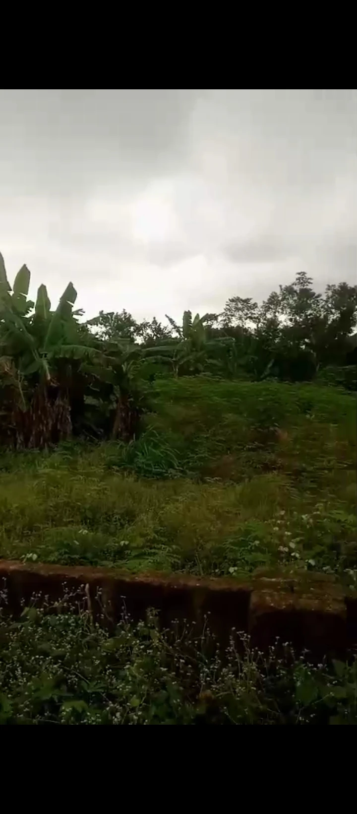 Land for Sale in Obagie sapele road, Edo - Image 4