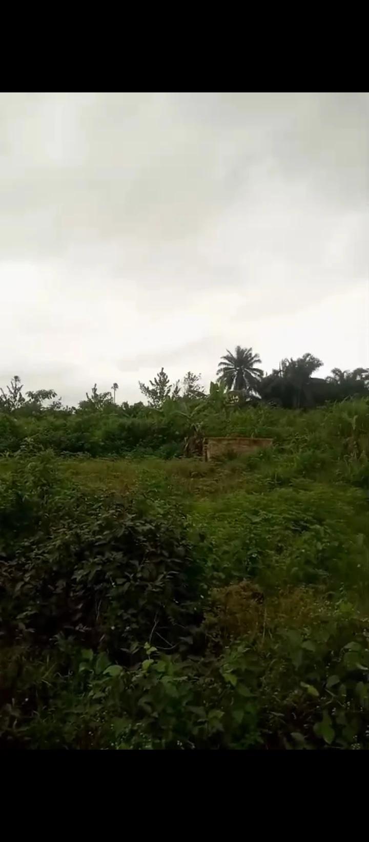 Land for Sale in Obagie sapele road, Edo - Image 3