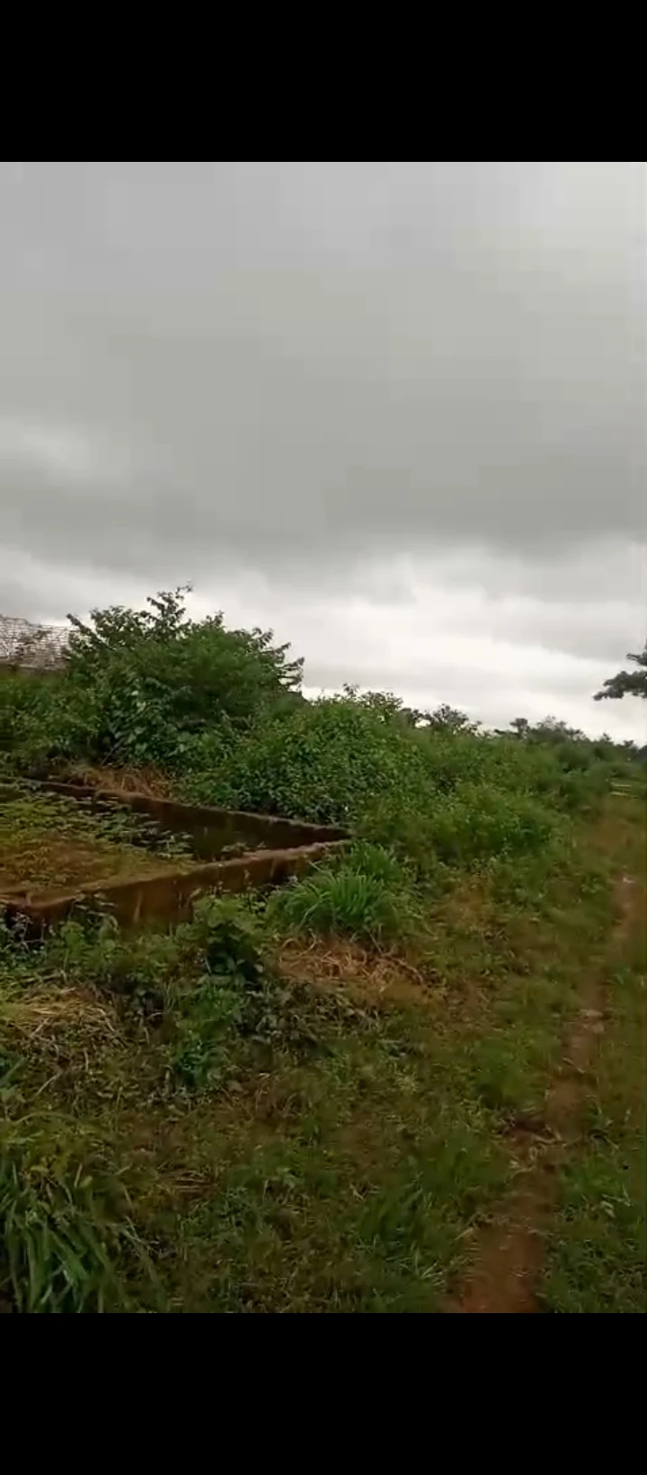 Land for Sale in Obagie sapele road, Edo - Image 6