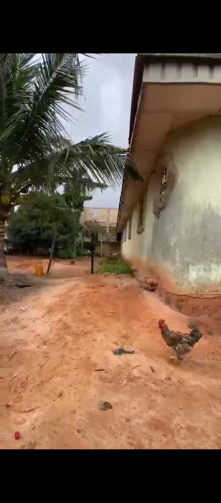 Hostel for Sale in Isihor sapele road, Edo - Image 2