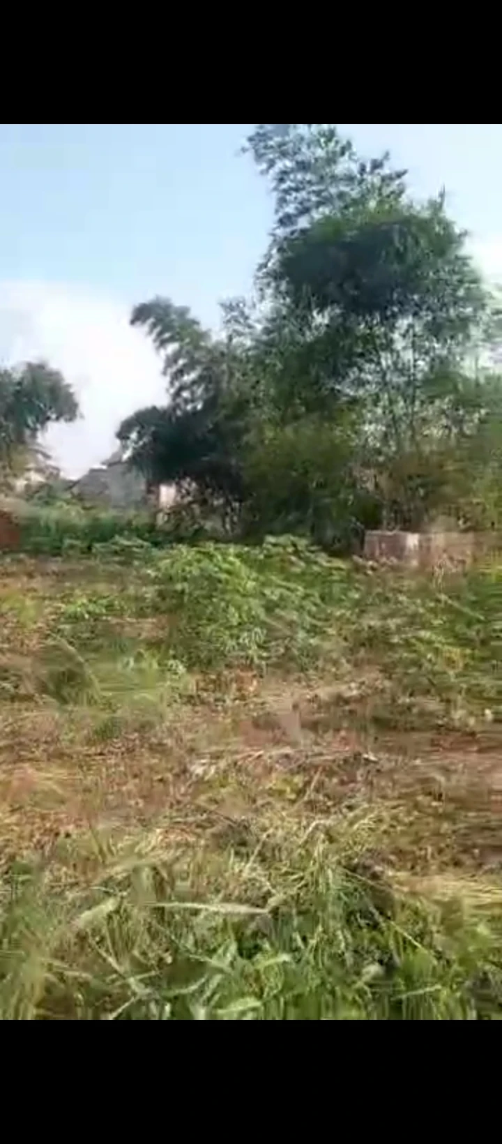 Land for Sale in Uhie community, Edo - Image 4