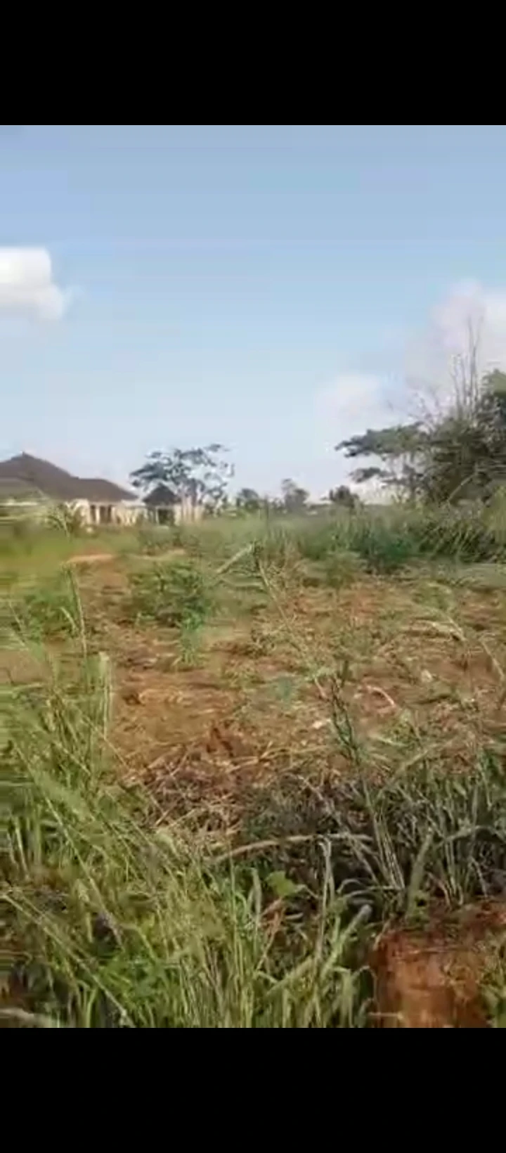 Land for Sale in Uhie community, Edo - Image 2