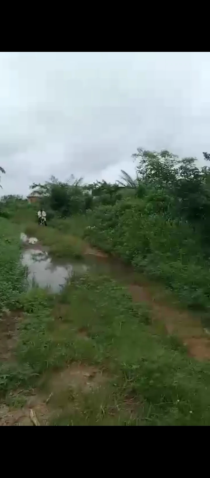 Land for Sale in Sapele road biu estate, Edo - Image 2