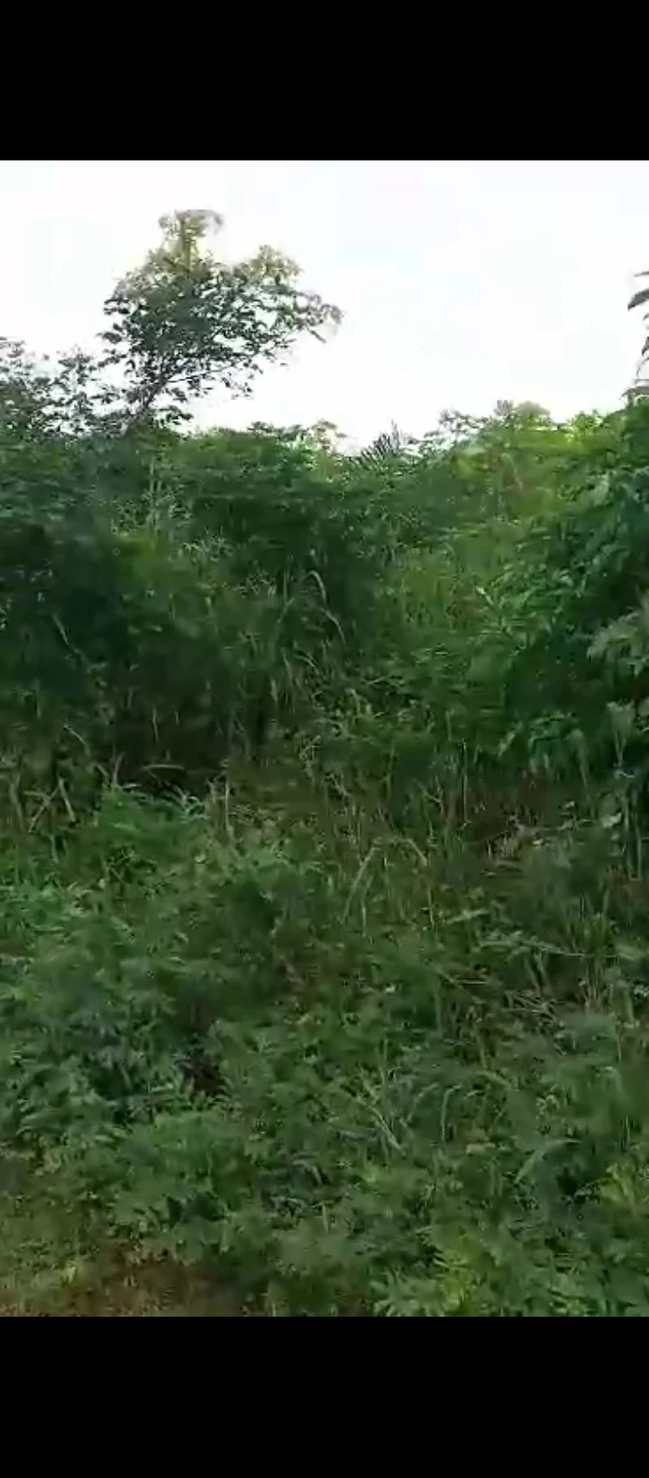 Land for Sale in Sapele road biu estate, Edo - Image 1
