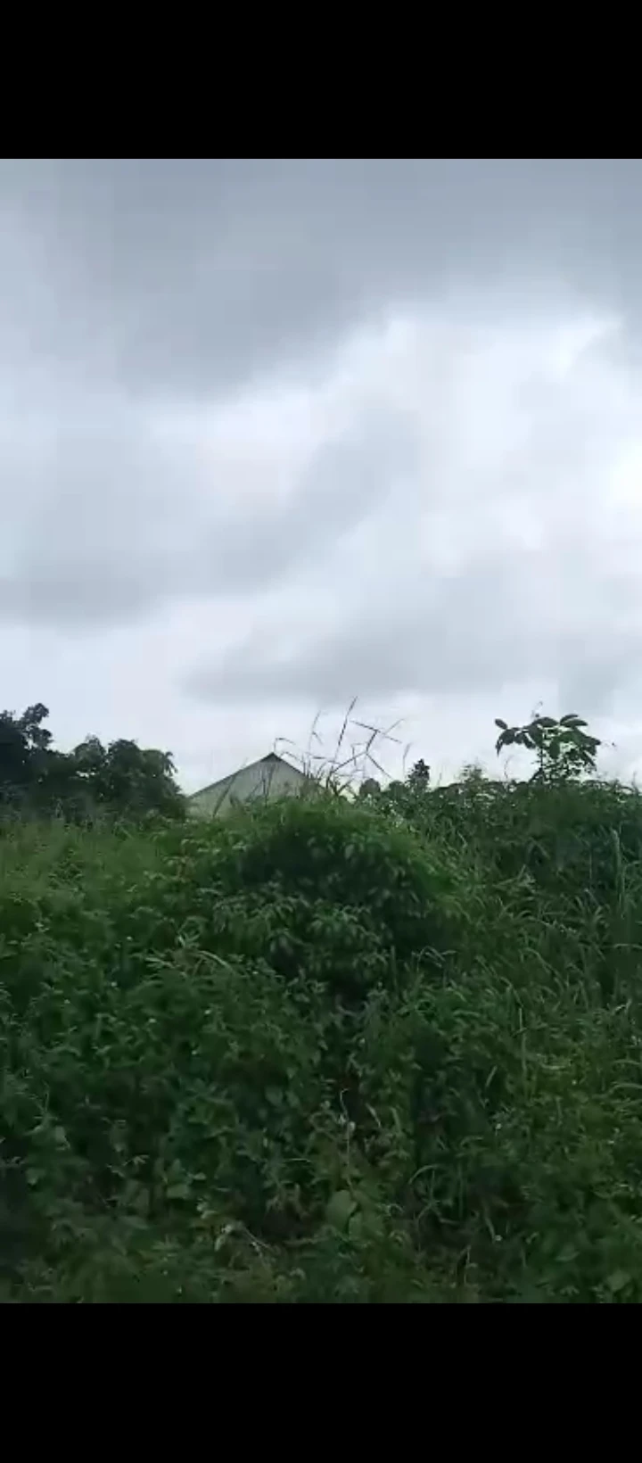 Land for Sale in Sapele road biu estate, Edo - Image 5