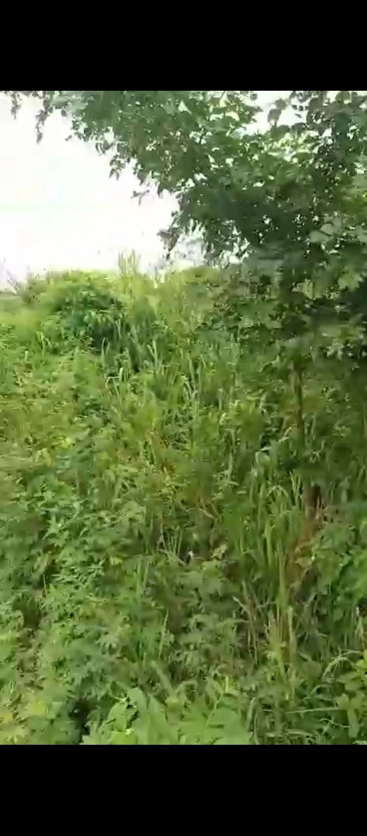 Land for Sale in Sapele road biu estate, Edo - Image 4