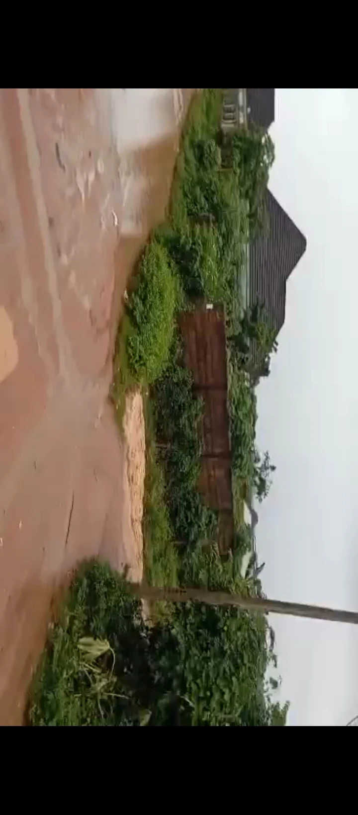 Land for Sale in Ogunwemnyi ugbor gra, Edo - Image 3