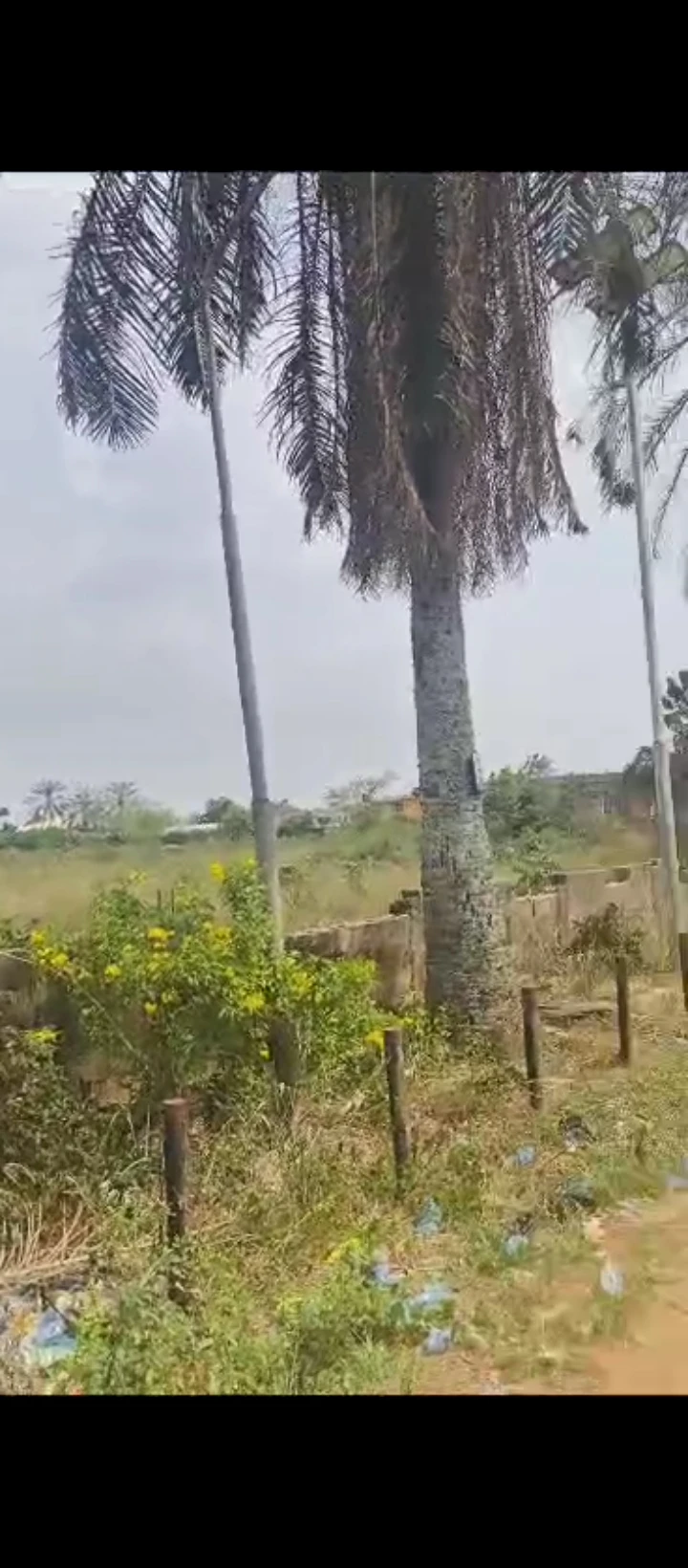 Land for Sale in Ugbor gra, Edo - Image 3