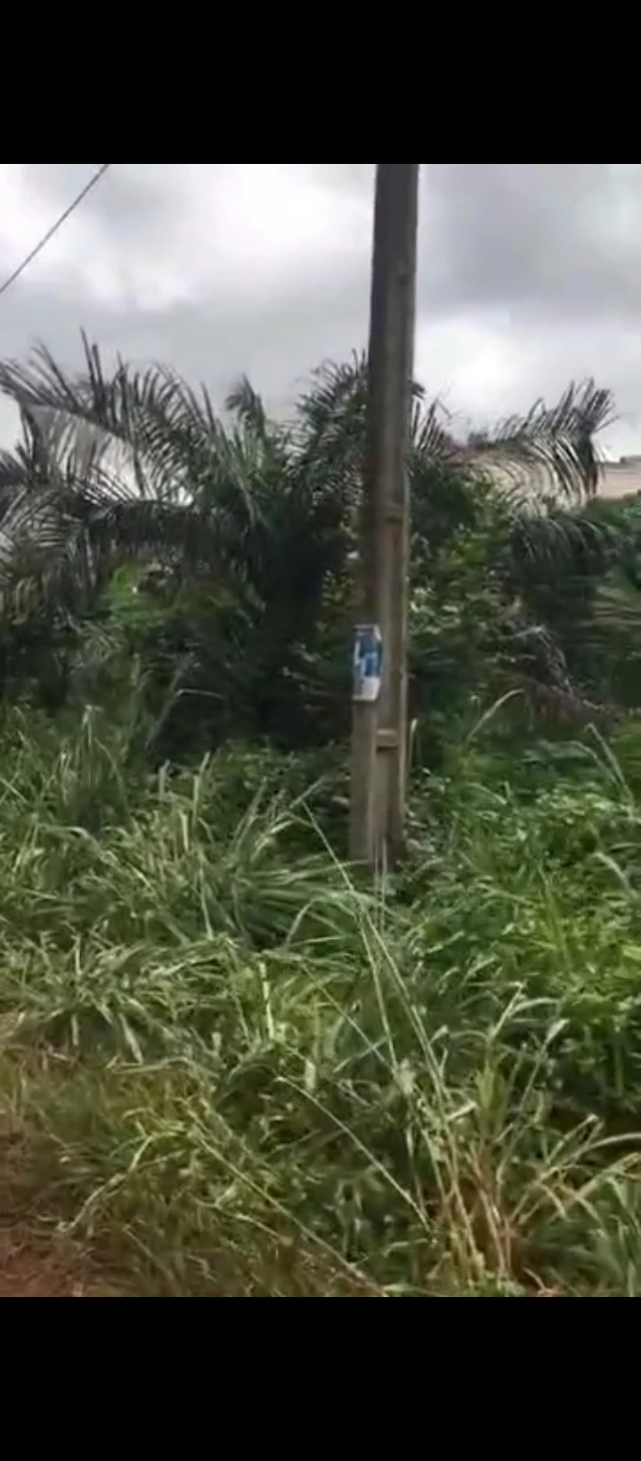 Land for Sale in Oluku, Edo - Image 5