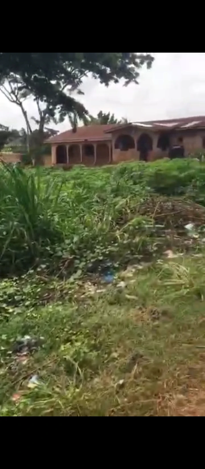 Land for Sale in Oluku, Edo - Image 2