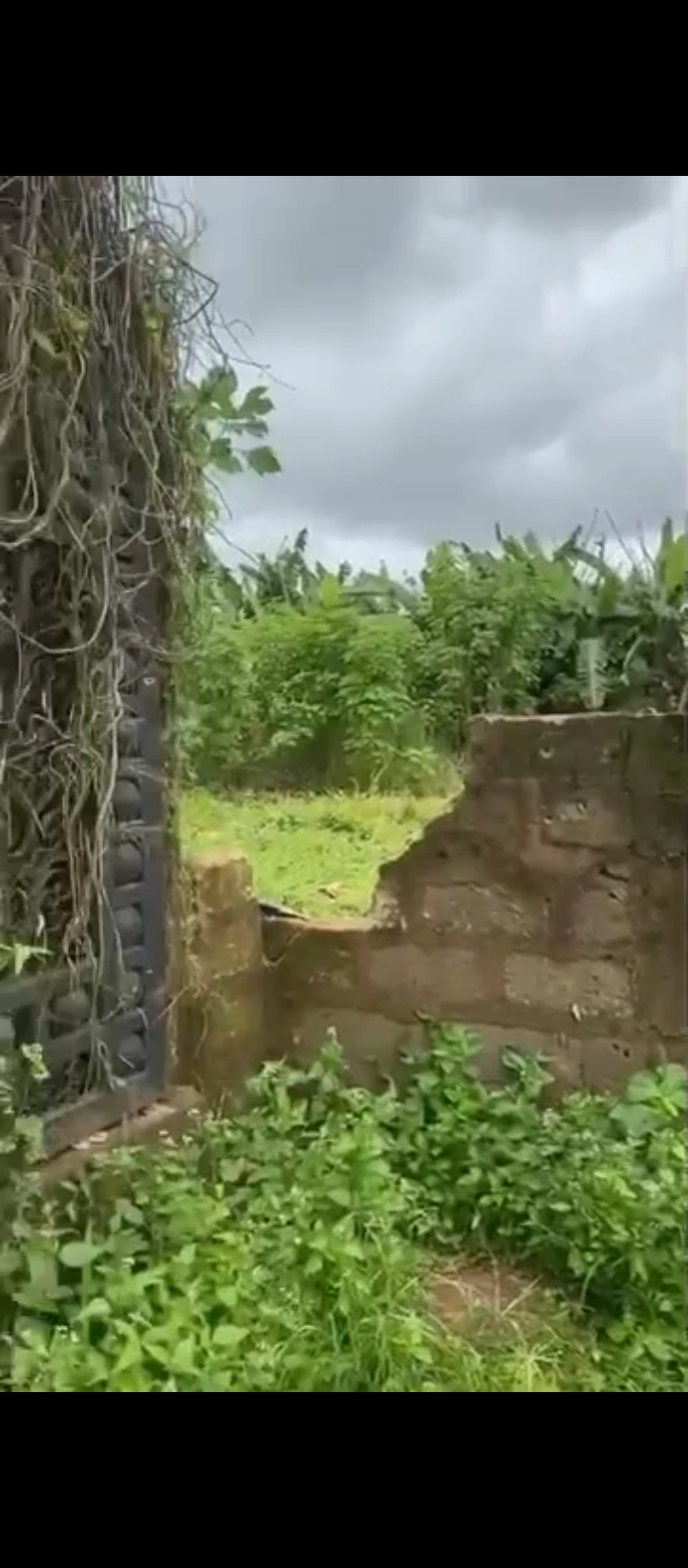 Land for Sale in Sapele road Rcc, Edo - Image 4