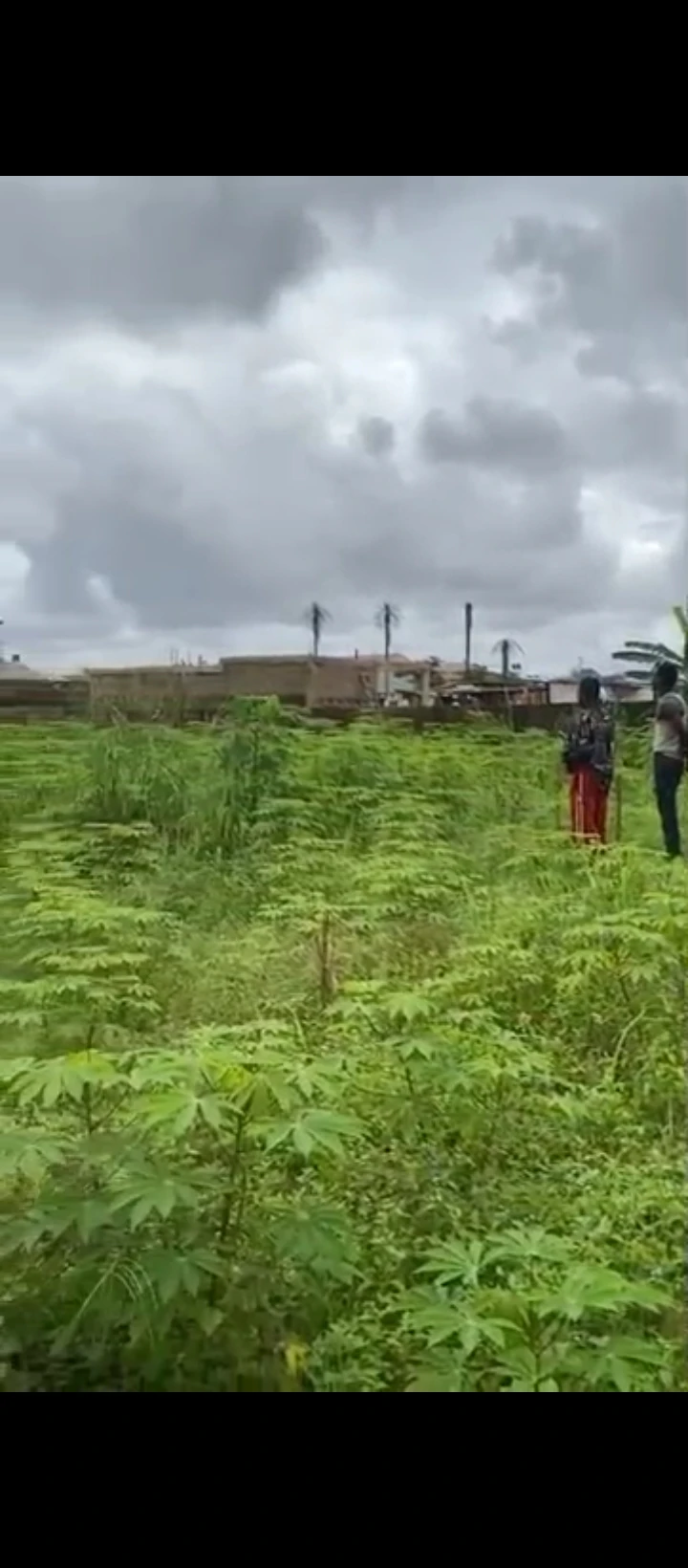 Land for Sale in Sapele road Rcc, Edo - Image 5