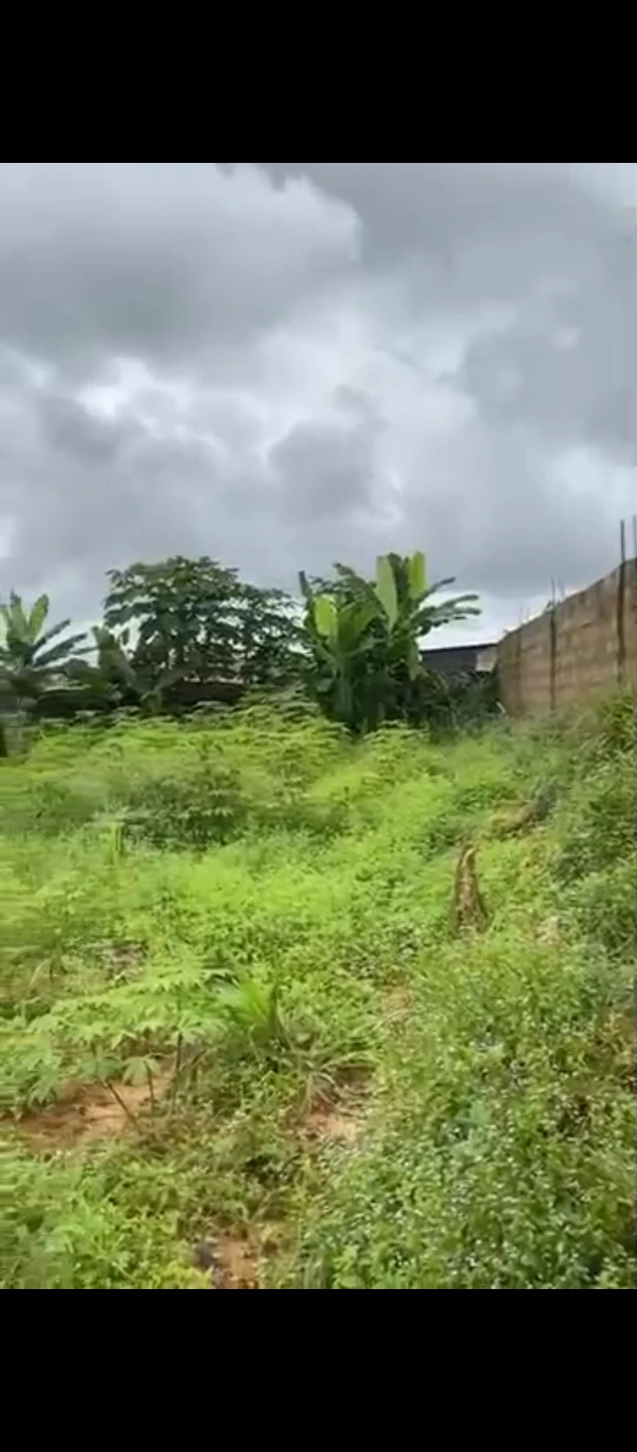 Land for Sale in Sapele road Rcc, Edo - Image 3