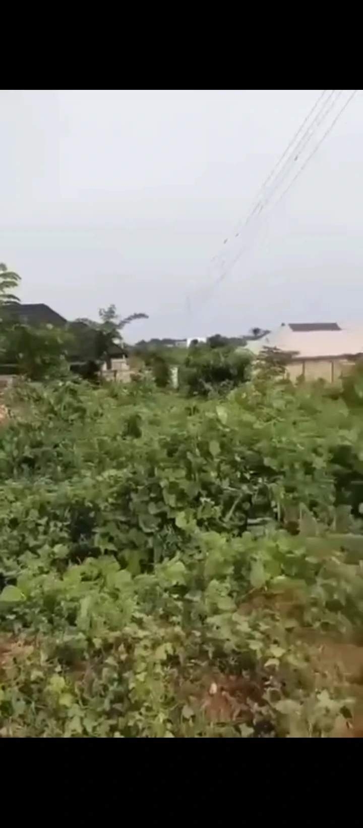Land for Sale in Amagba, Edo - Image 1