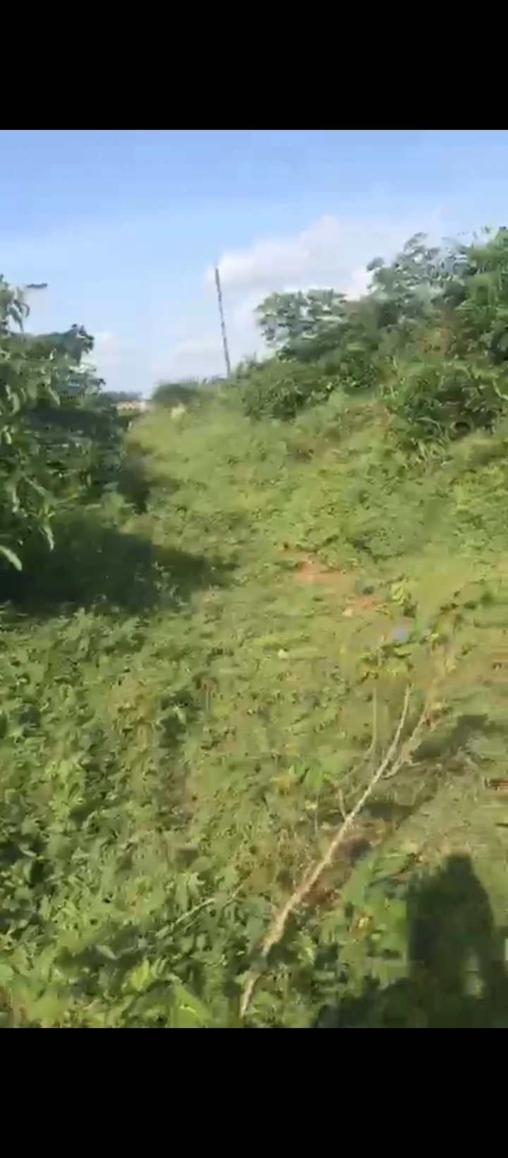 Land for Sale in Sapele road, Edo - Image 6