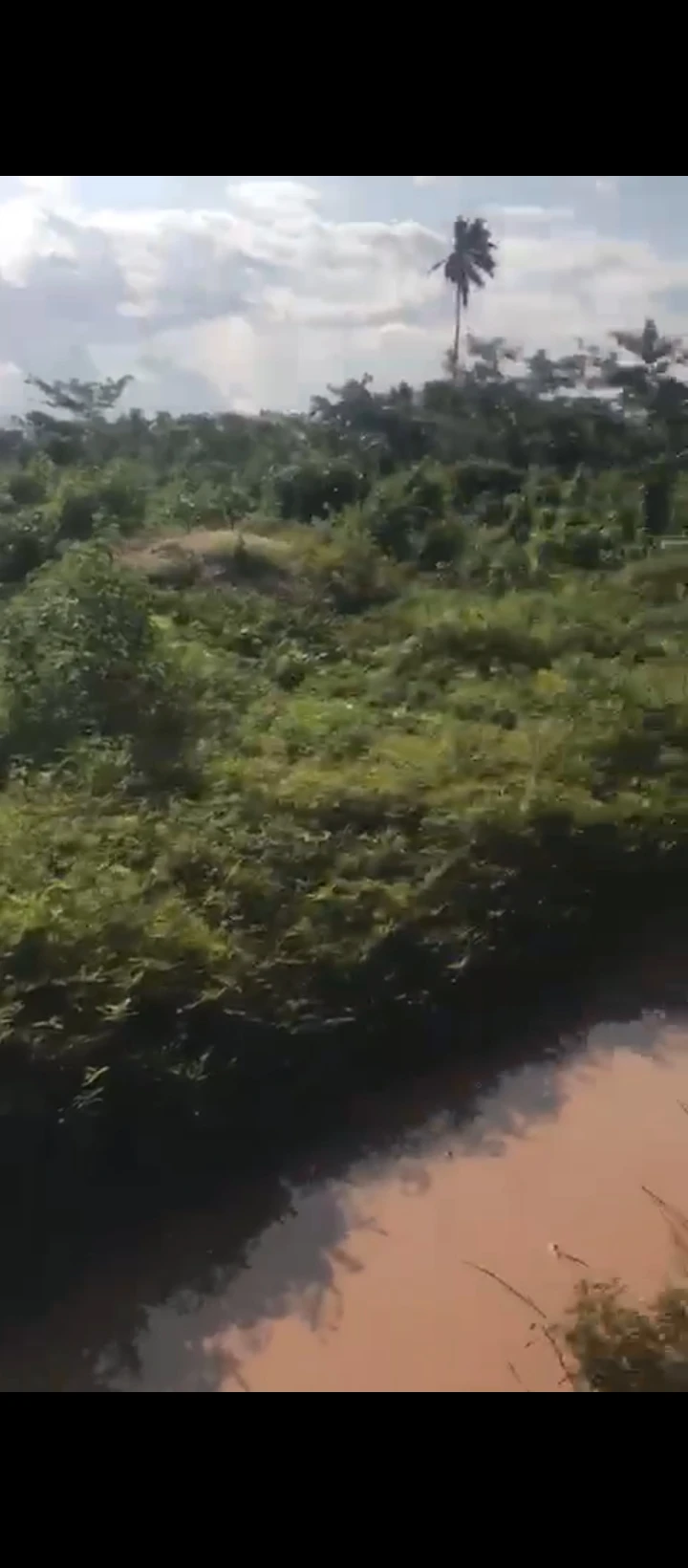 Land for Sale in Sapele road, Edo - Image 4