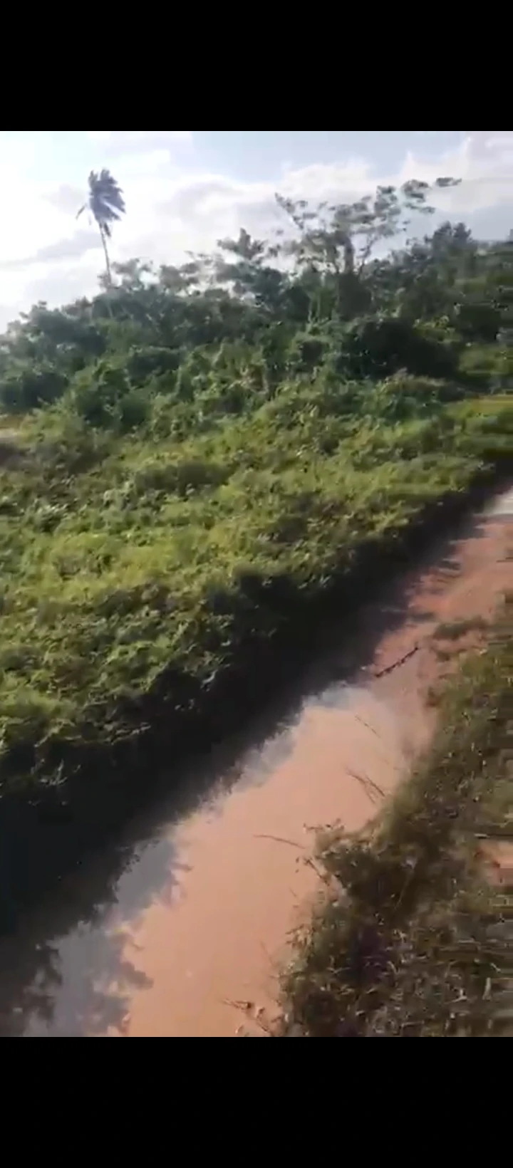 Land for Sale in Sapele road, Edo - Image 2