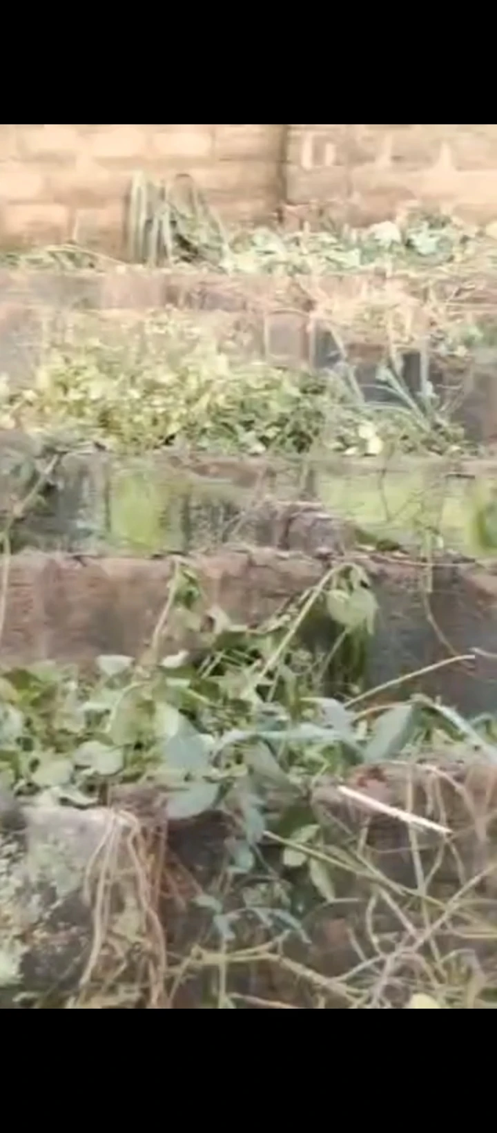 Uncompleted Building for Sale in Airport road, Edo - Image 2