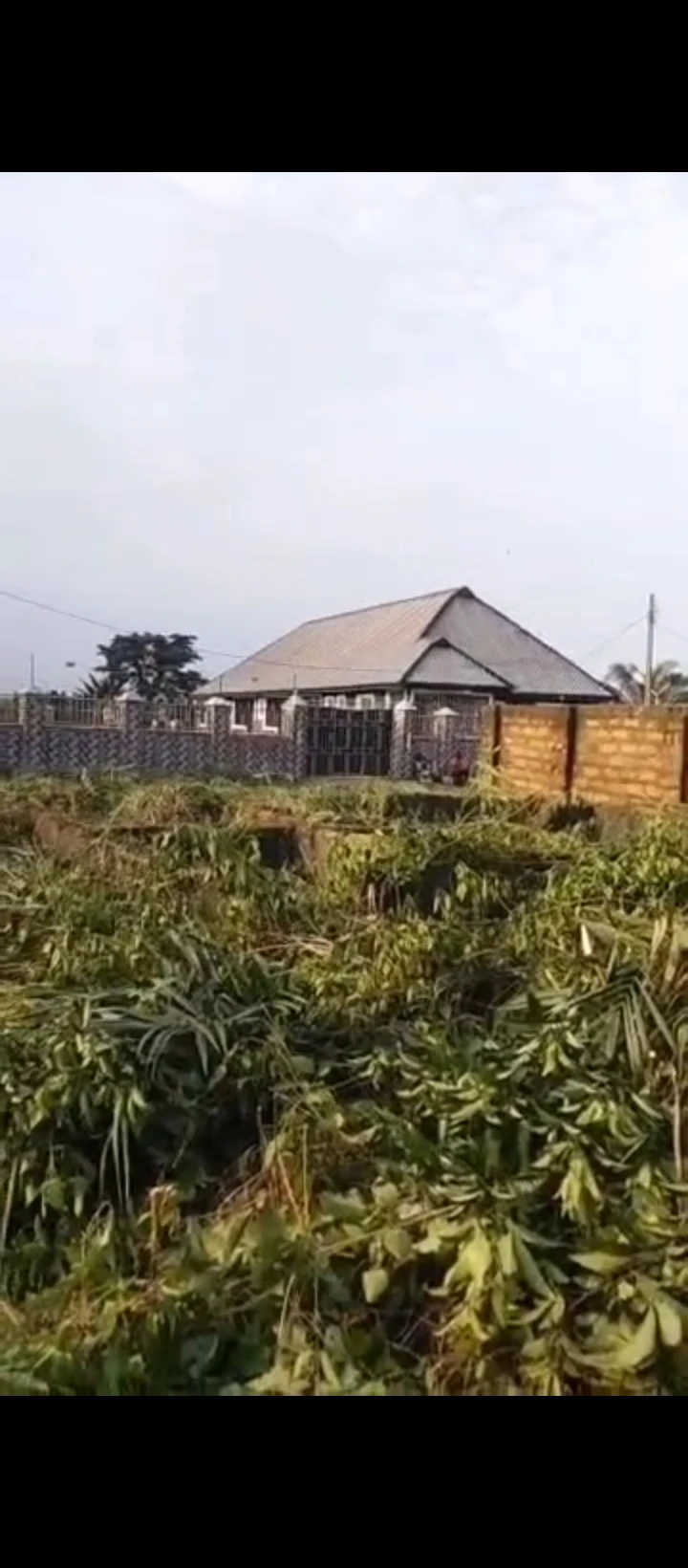 Uncompleted Building for Sale in Airport road, Edo - Image 3