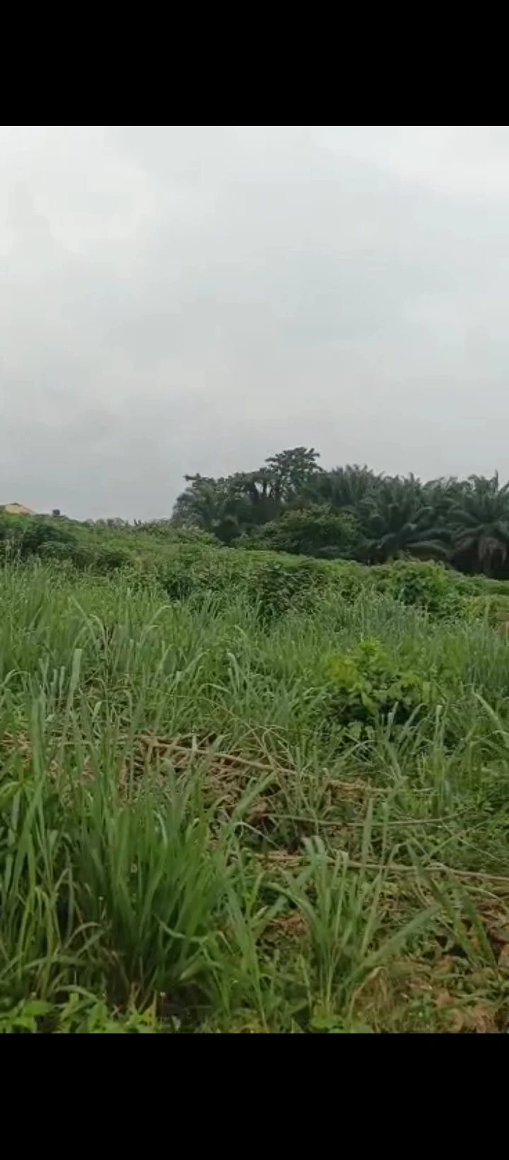Land for Sale in Airport road, Edo - Image 4