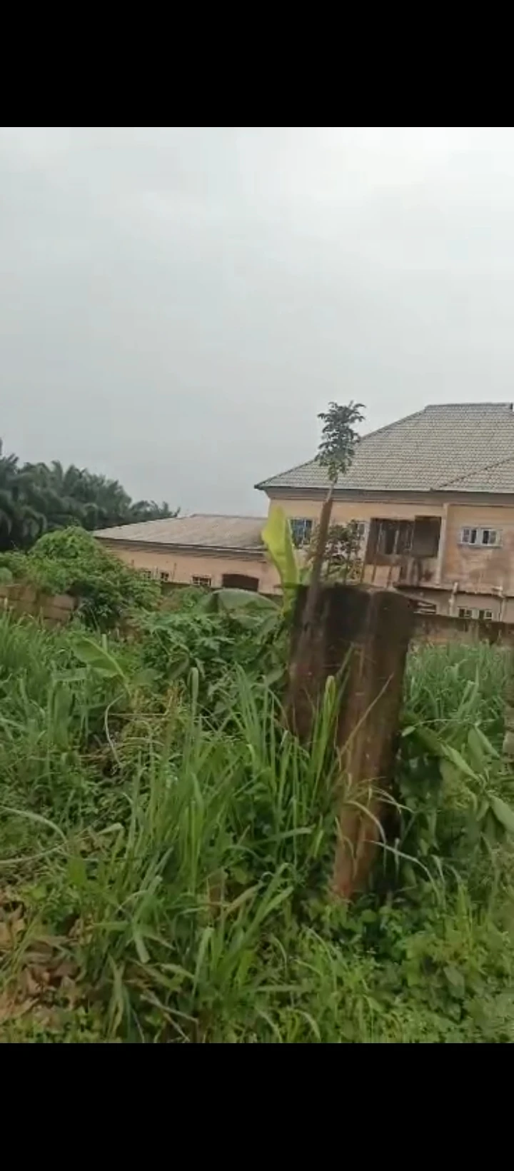Land for Sale in Airport road, Edo - Image 2