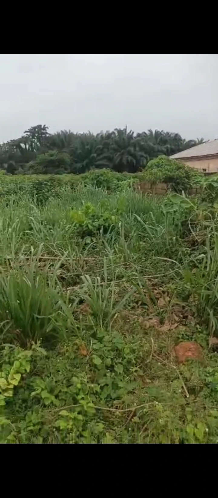 Land for Sale in Airport road, Edo - Image 1