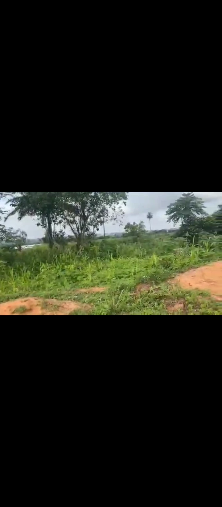 Land for Sale in Nifor, Edo - Image 3