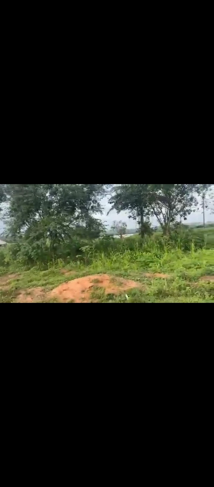 Land for Sale in Nifor, Edo - Image 4
