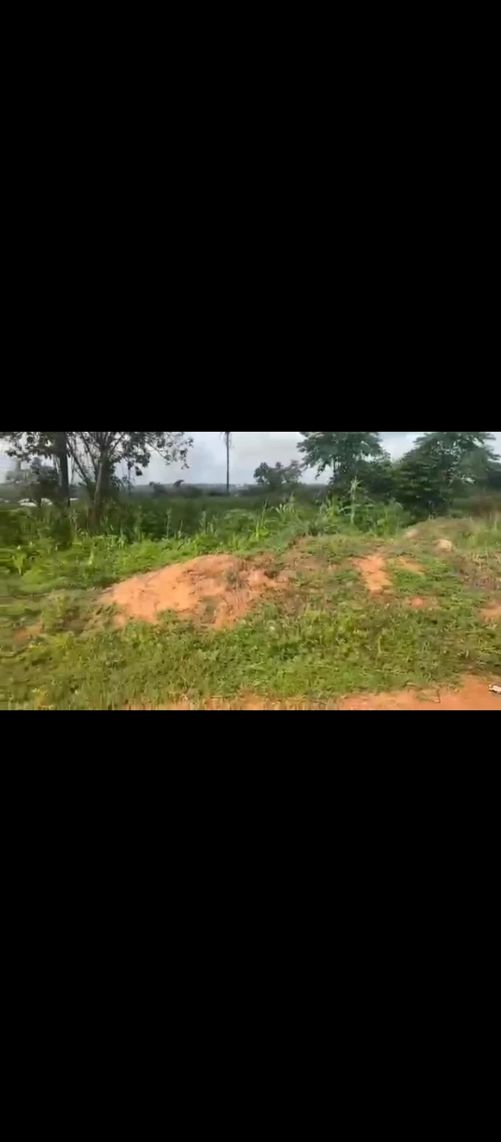 Land for Sale in Nifor, Edo - Image 1