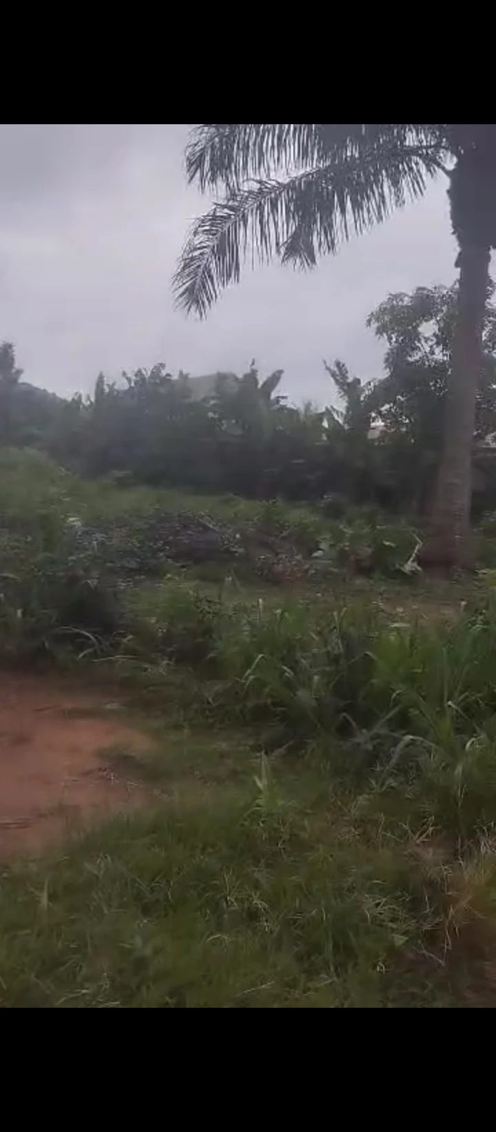 Land for Sale in Ekosoden, Edo - Image 3