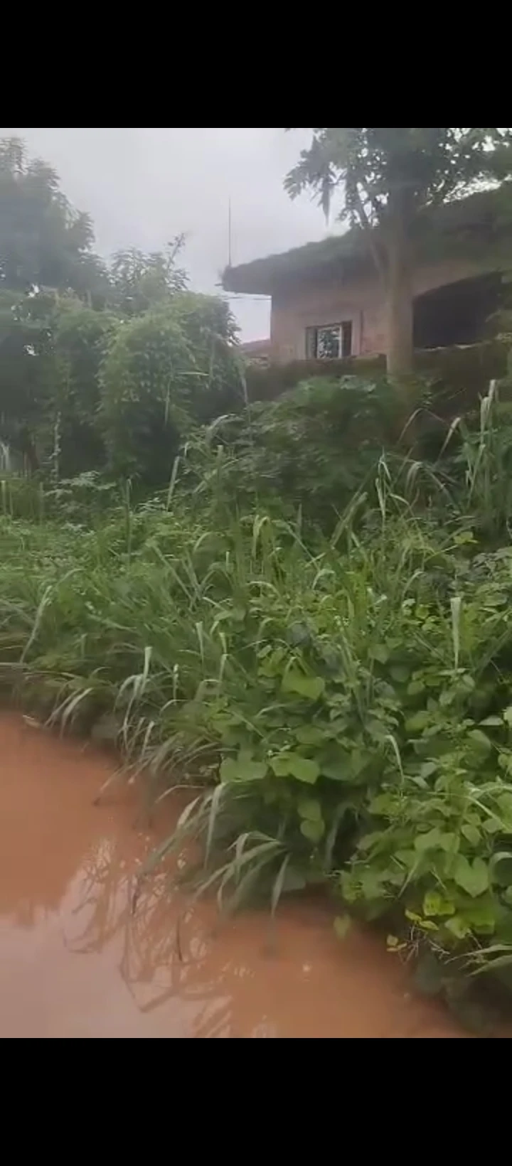 Land for Sale in Ekosoden, Edo - Image 2