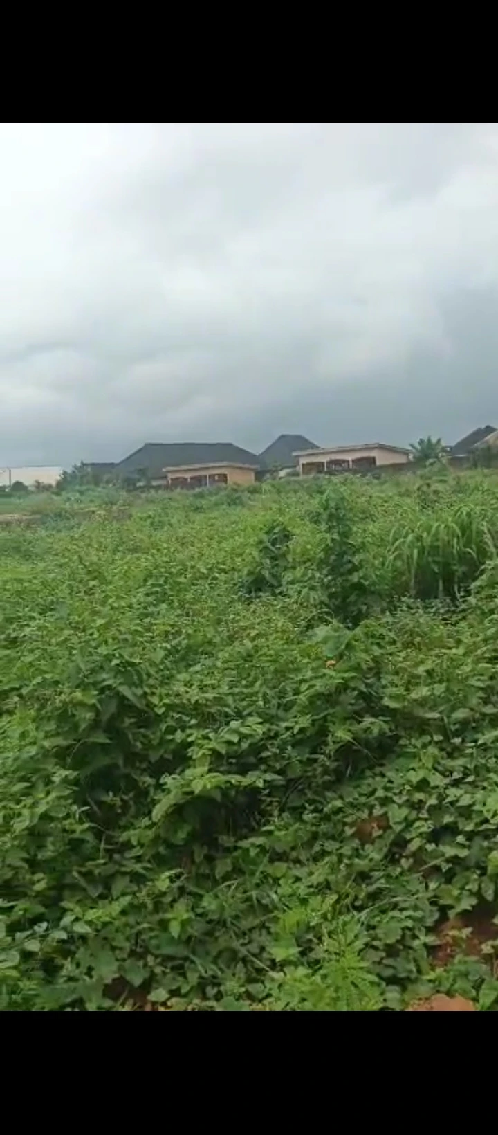 Land for Sale in Airport road, Edo - Image 3
