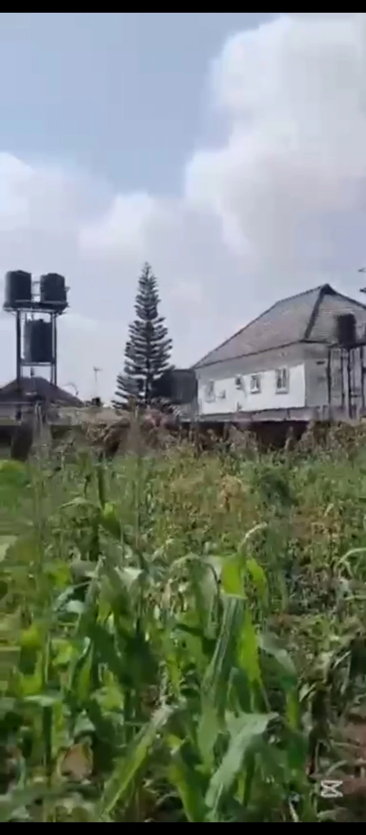 Land for Sale in Ugbor MTN mask, Edo - Image 3