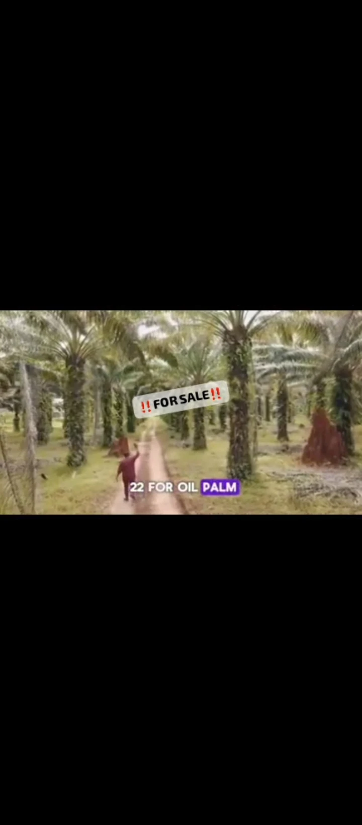 Land for Sale in Iguoriakhi, Edo - Image 3