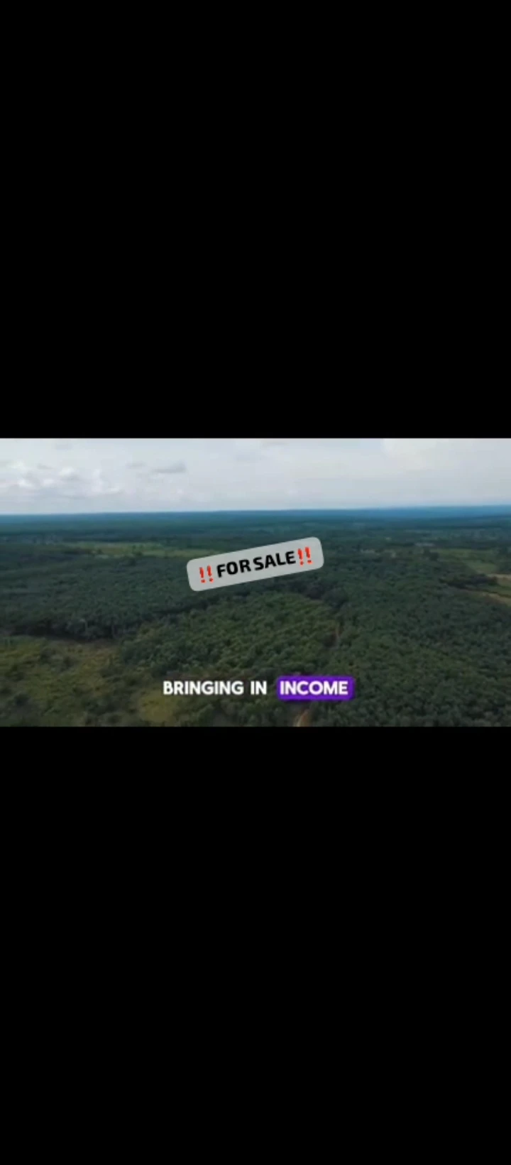 Land for Sale in Iguoriakhi, Edo - Image 2