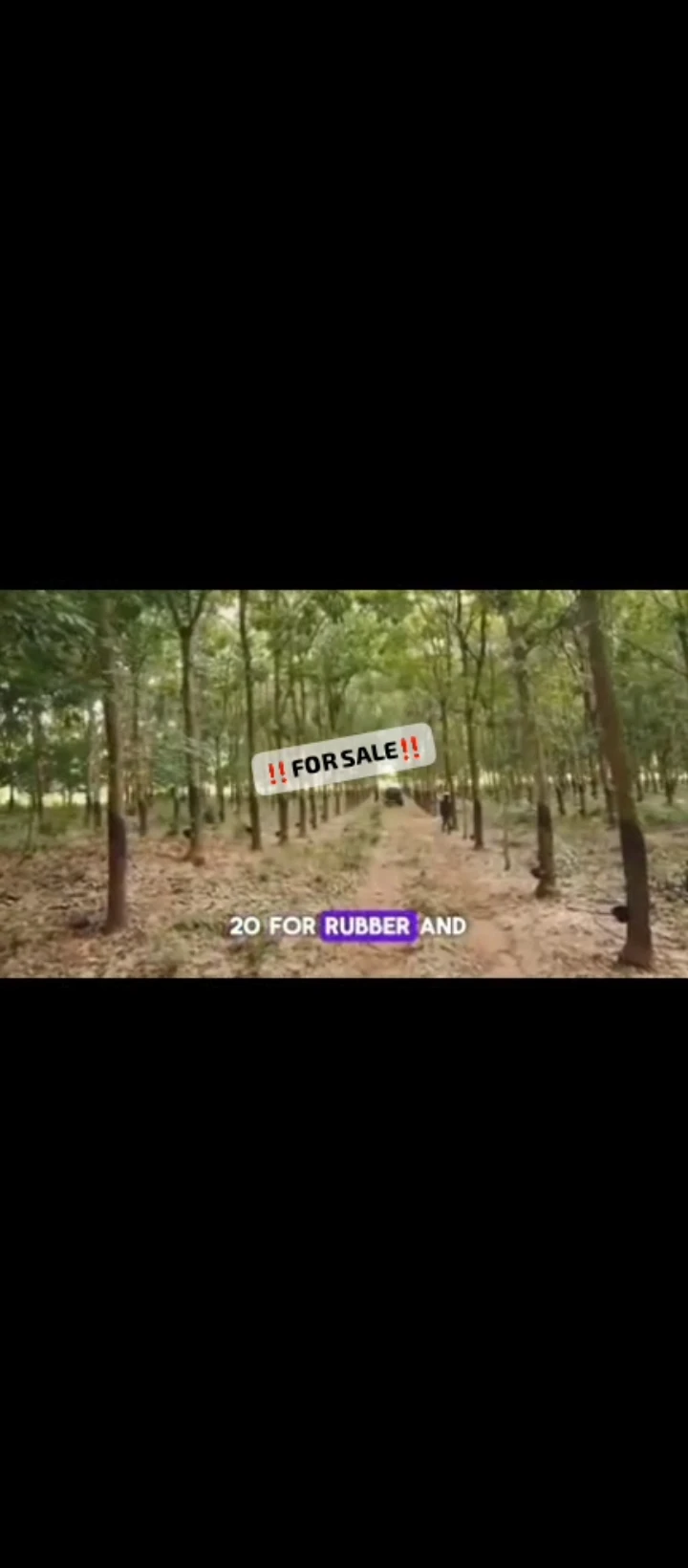 Land for Sale in Iguoriakhi, Edo - Image 5
