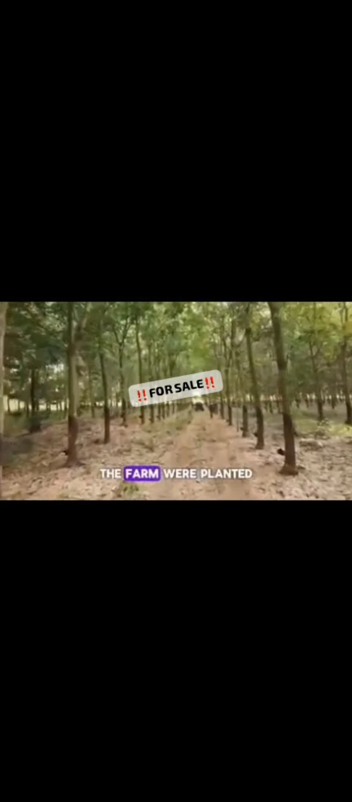 Land for Sale in Iguoriakhi, Edo - Image 1