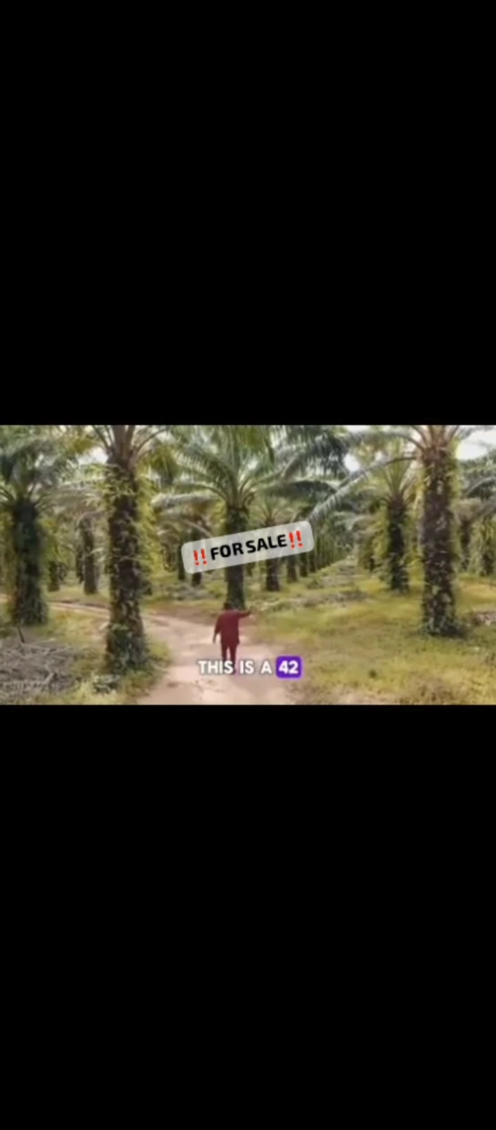 Land for Sale in Iguoriakhi, Edo - Image 4