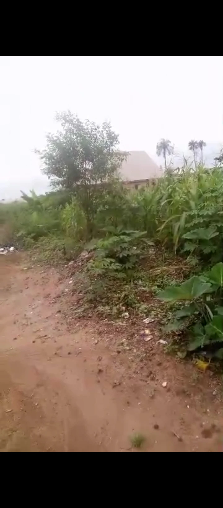 Land for Sale in Ukezi community ekehuan road, Edo - Image 2