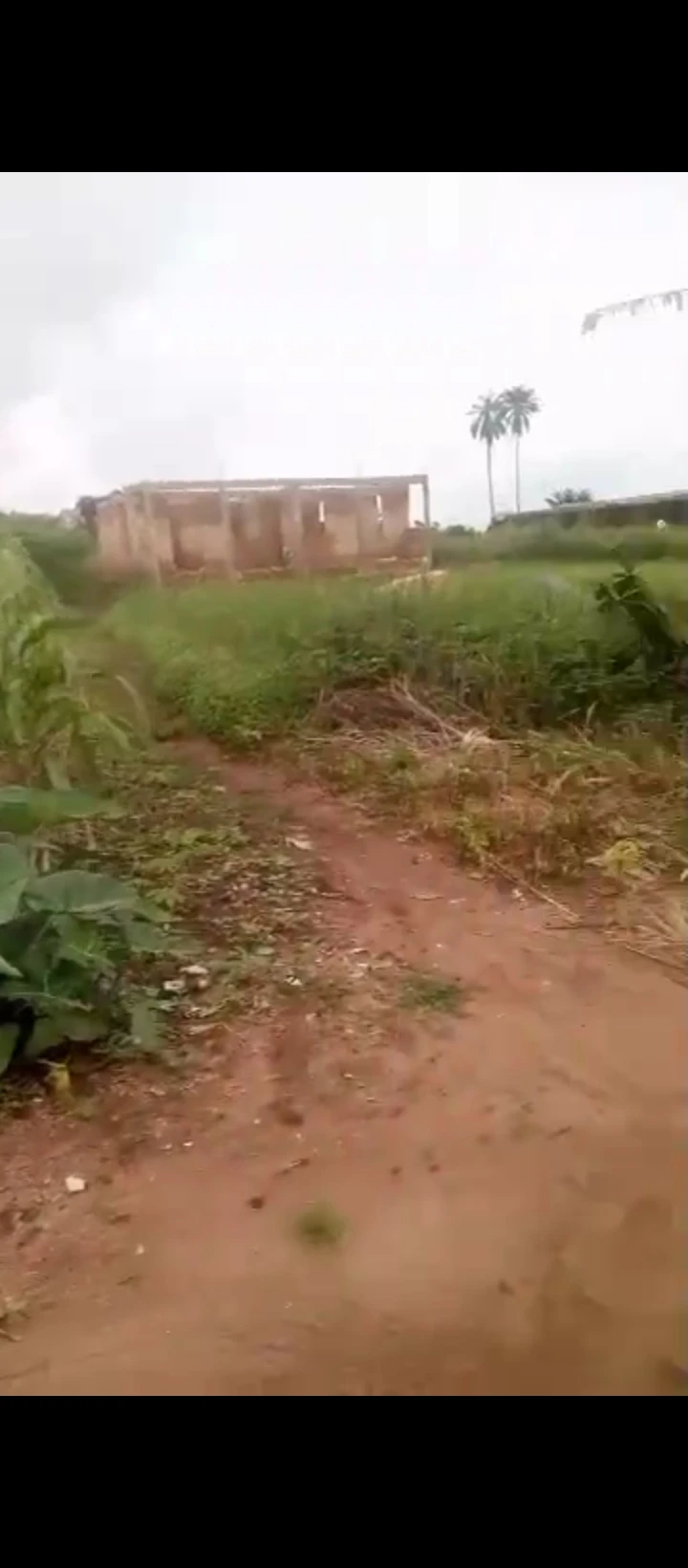 Land for Sale in Ukezi community ekehuan road, Edo - Image 1