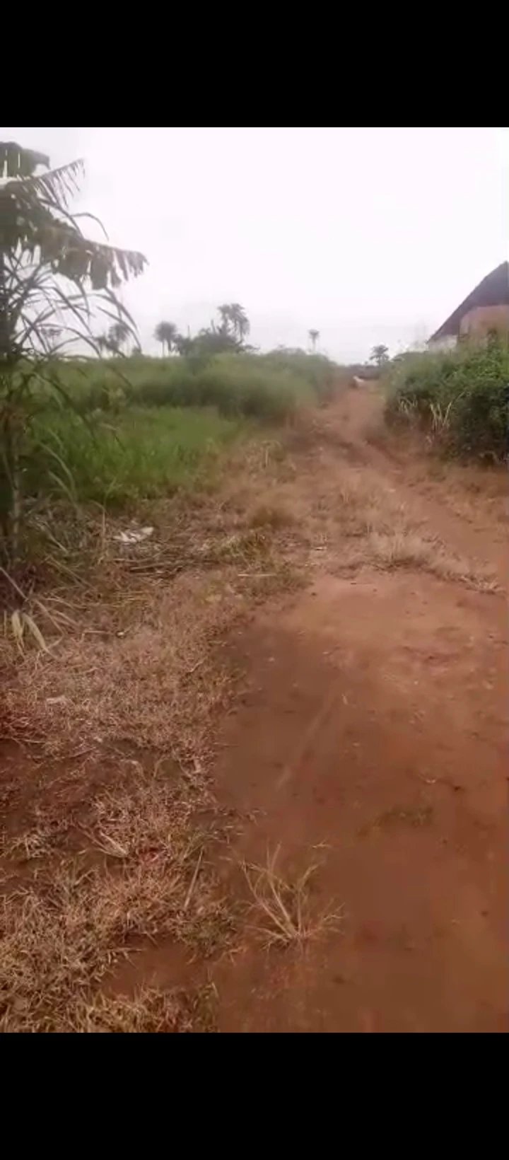 Land for Sale in Ukezi community ekehuan road, Edo - Image 4