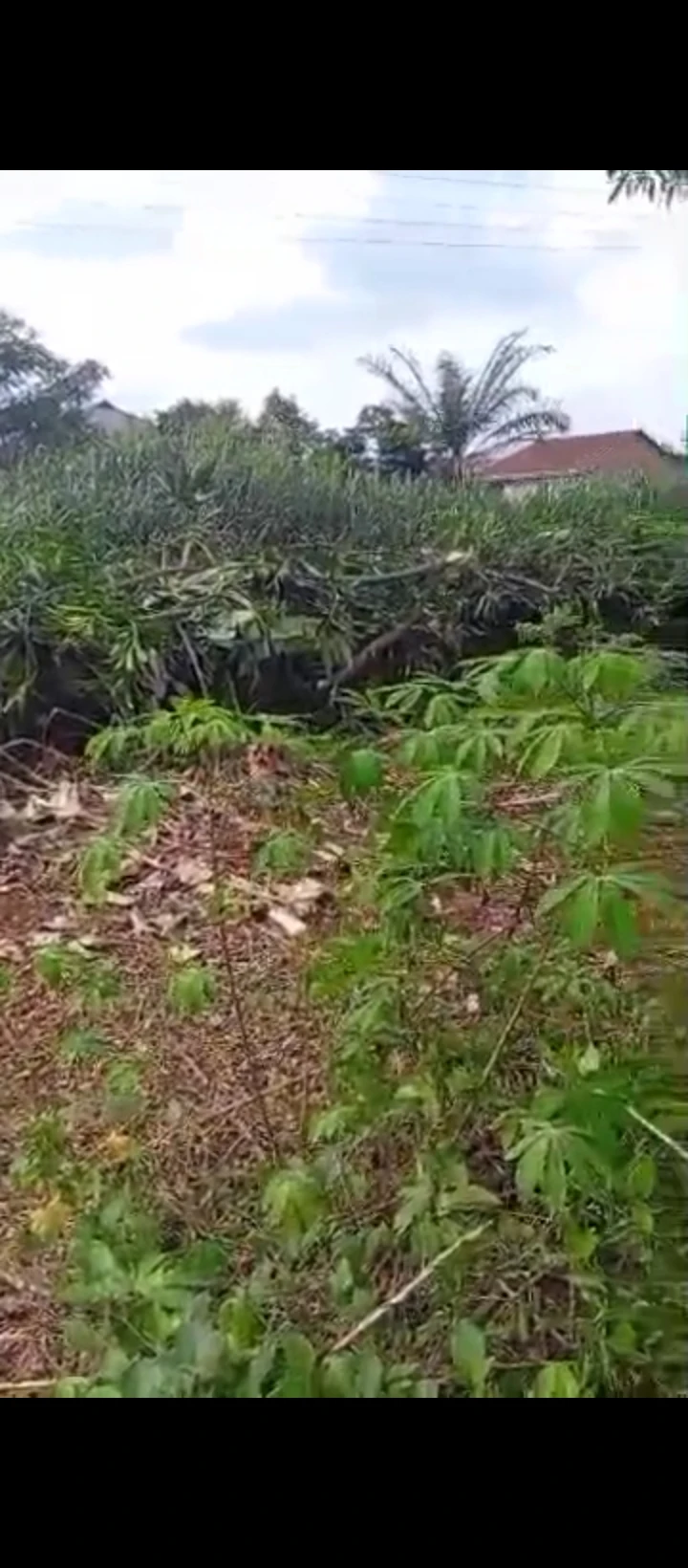 Land for Sale in Convernant road, Edo - Image 1