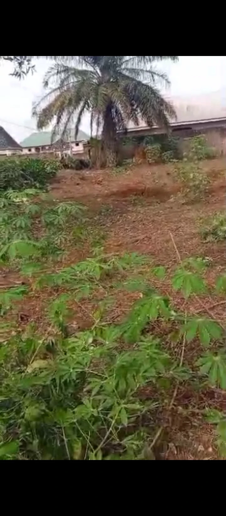 Land for Sale in Convernant road, Edo - Image 5