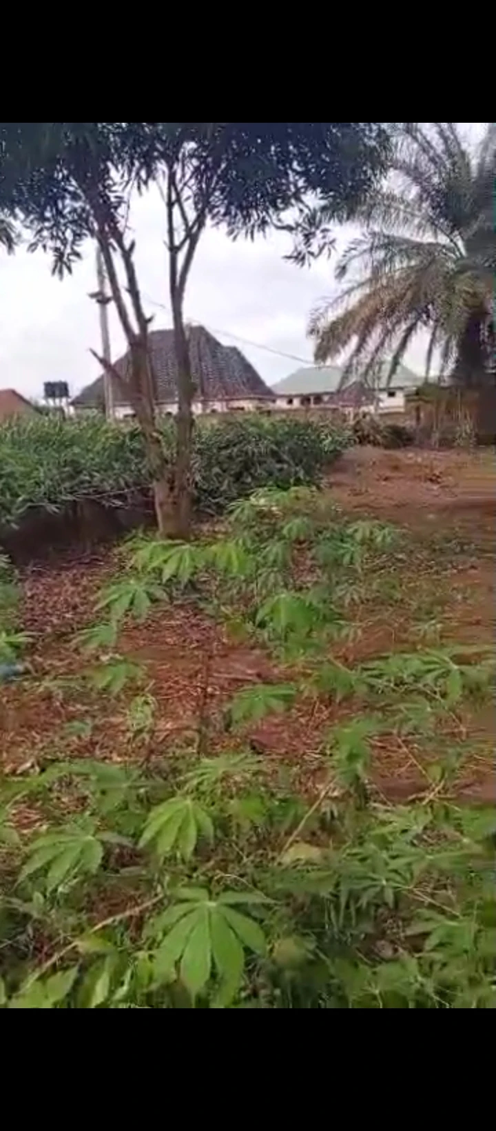 Land for Sale in Convernant road, Edo - Image 2