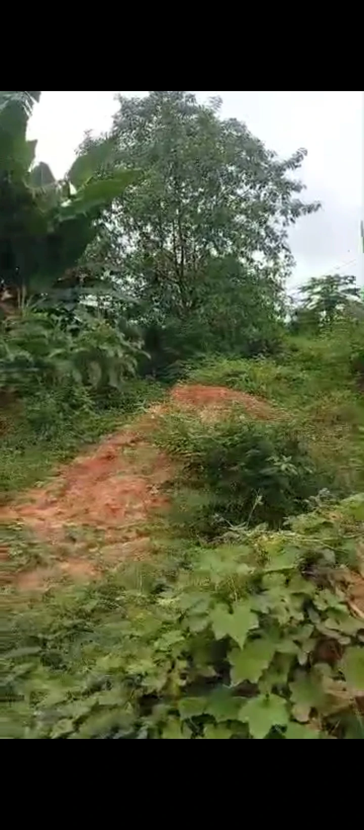 Land for Sale in Ekehuan road, Edo - Image 5